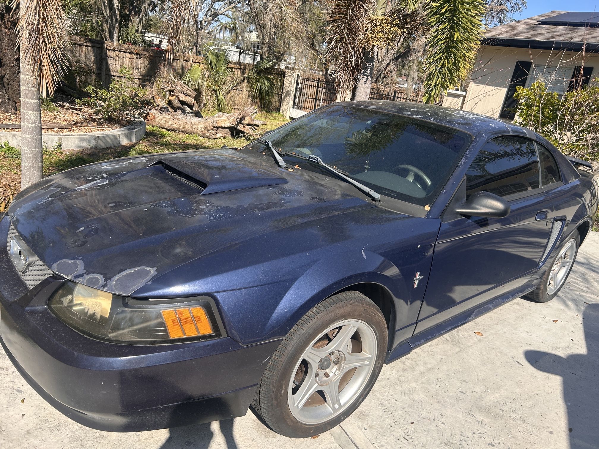 2002 Ford Mustang