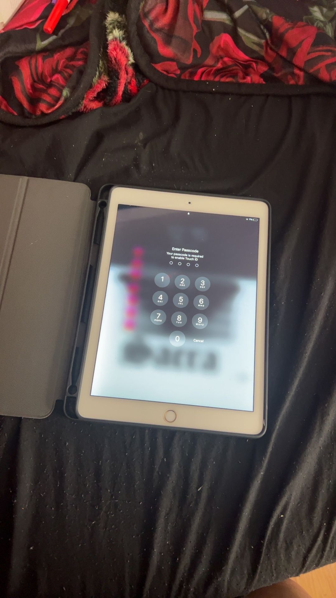 ipad air 2