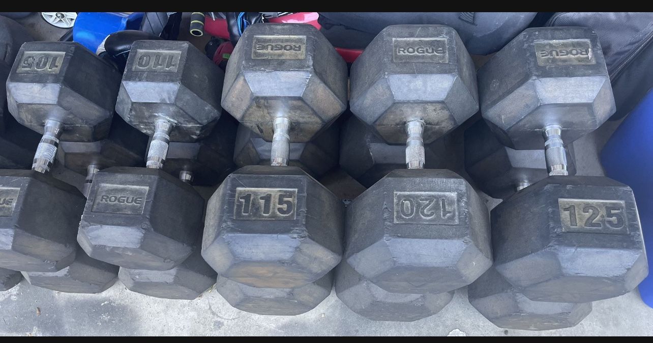 Rogue Fitness Dumbbell Set 105-125