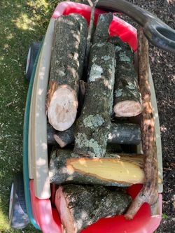 Free maple logs firewood Allison park