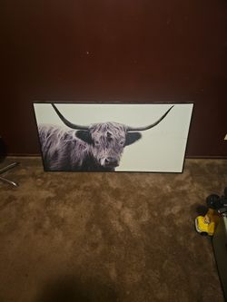 Cow Canvas