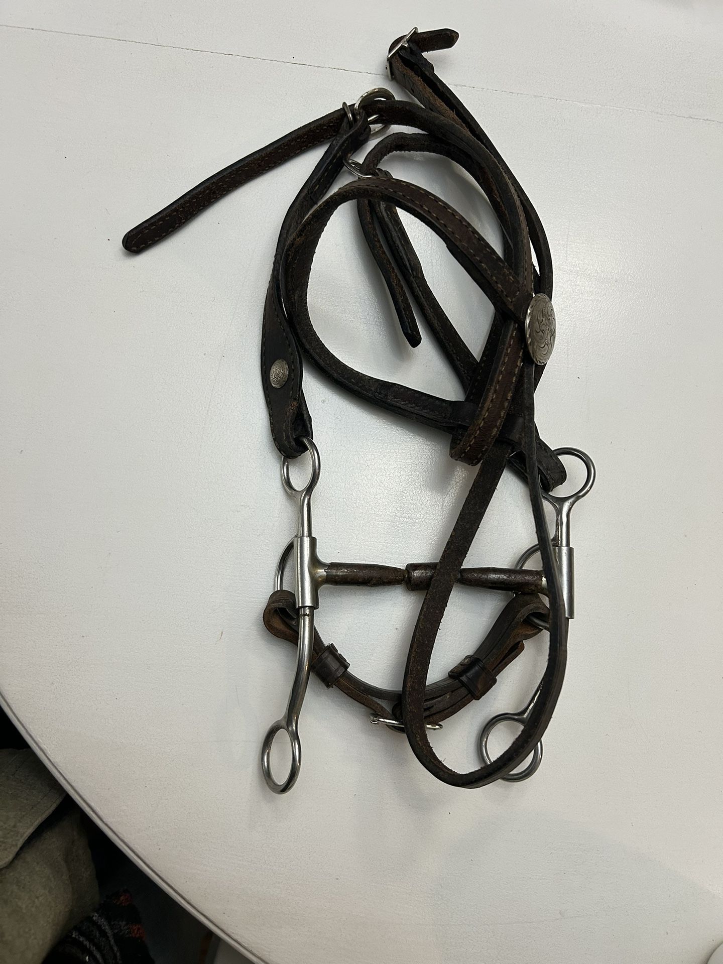 Horse bridle and bit