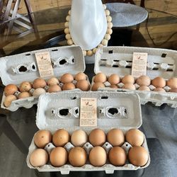 Organic Fresh Eggs