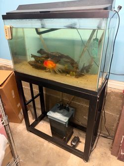 29gal fish tank