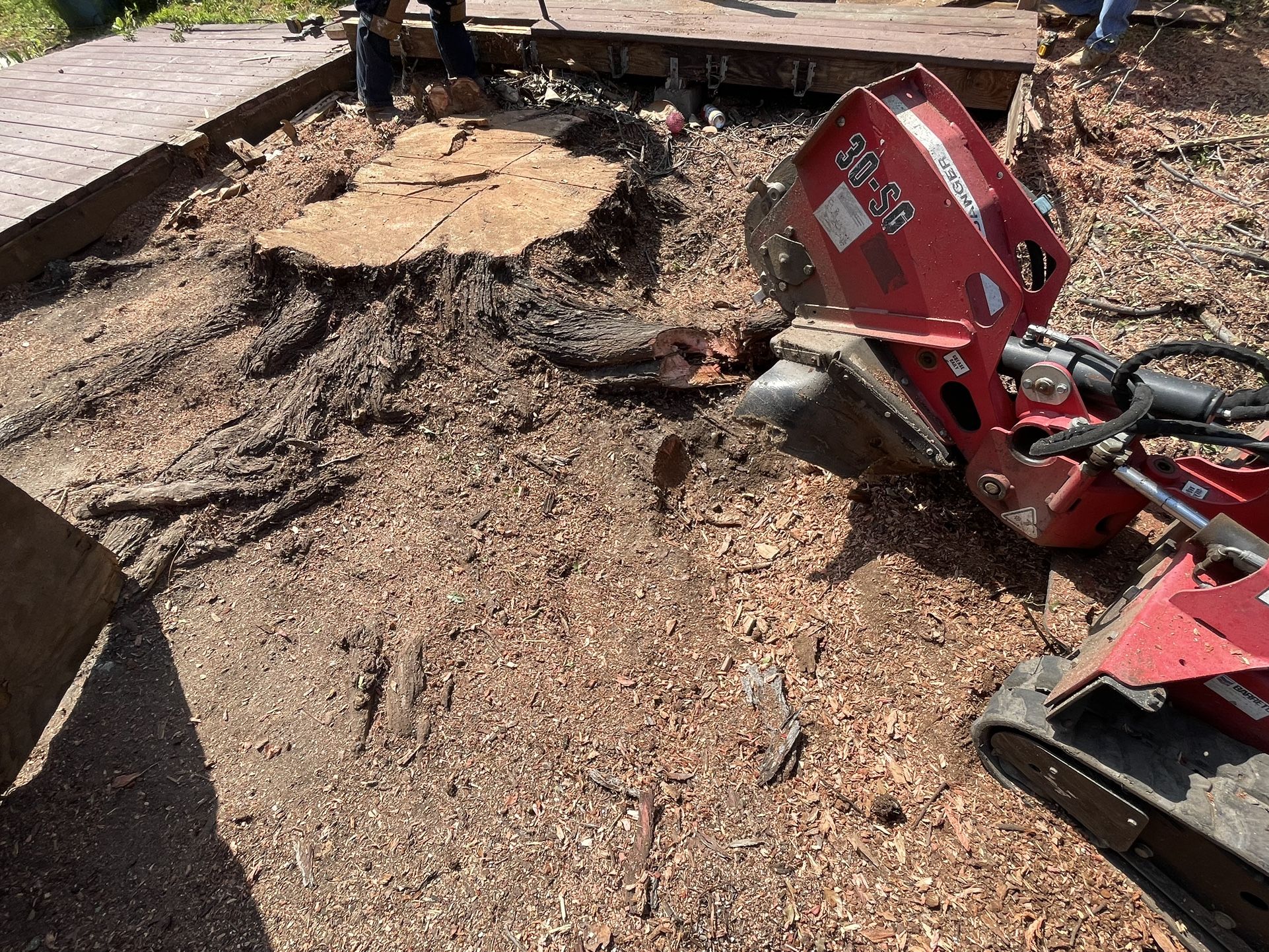 Stump Grinder Removal