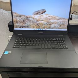 ASUS Chromebook CX1 17.3" FHD Celeron N4500 4GB 128GB eMMC Cam Chrome OS Laptop