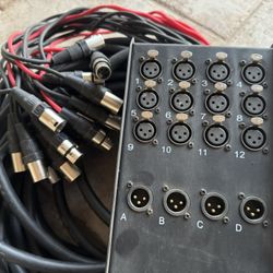 Audio Snake 12x4x100’