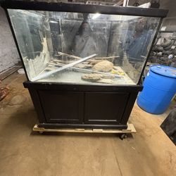 Saltwater Tank