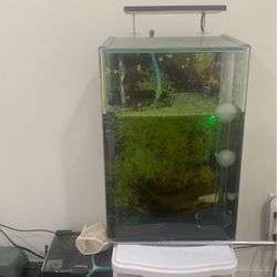 3.5 Gallon Aquarium