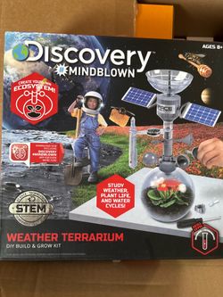 Weather terrarium game for kids
