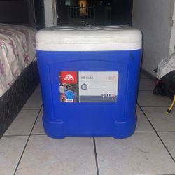 Igloo Cooler