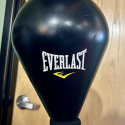 Everlast Core Reflex Punching Bag, $45