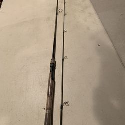 Fenwick 6'6” EAGLE Fishing Spinning Rod for Sale in Wadsworth, IL - OfferUp