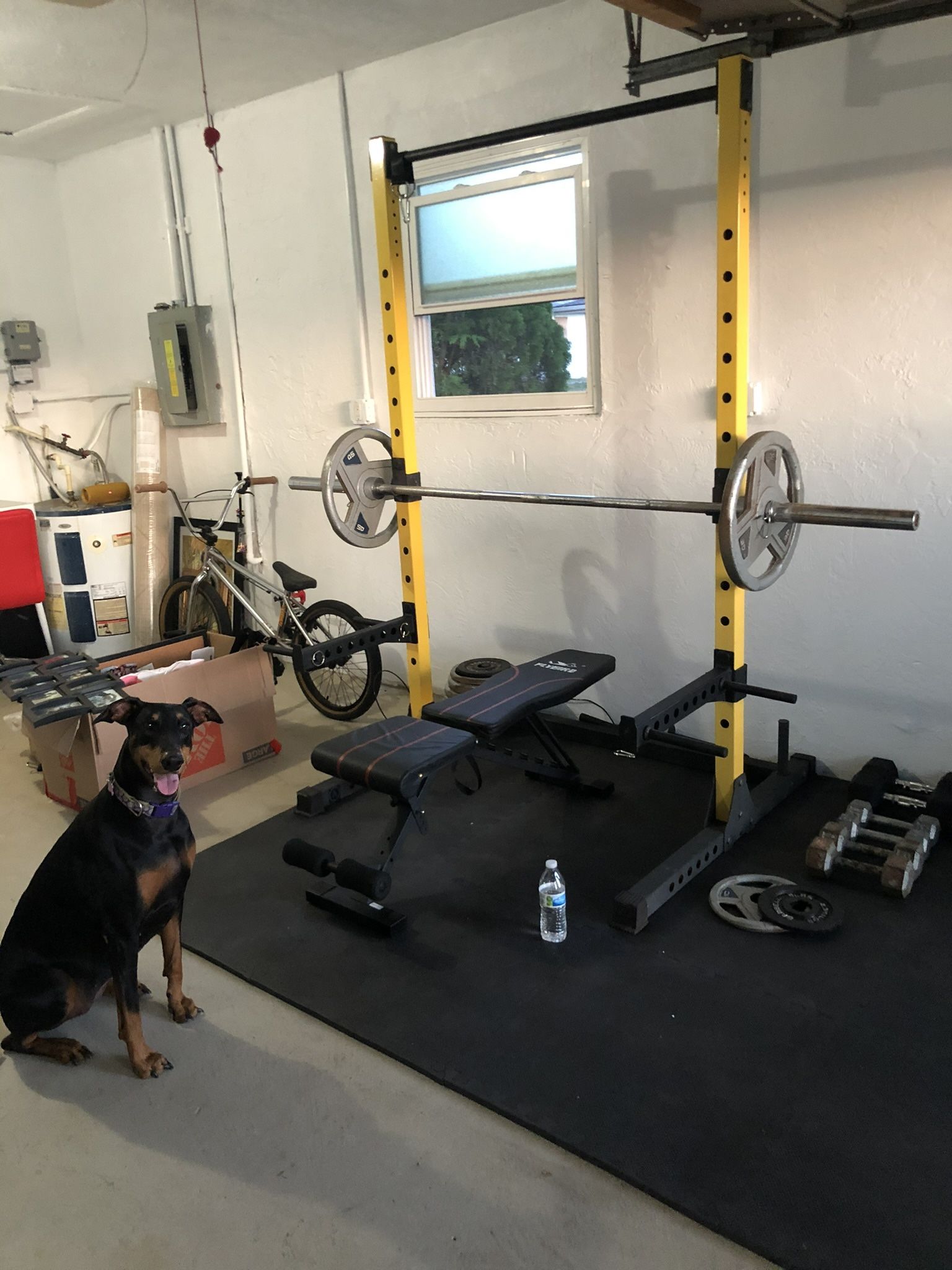 Squat Rack Pull Up Bad Combo And Weights