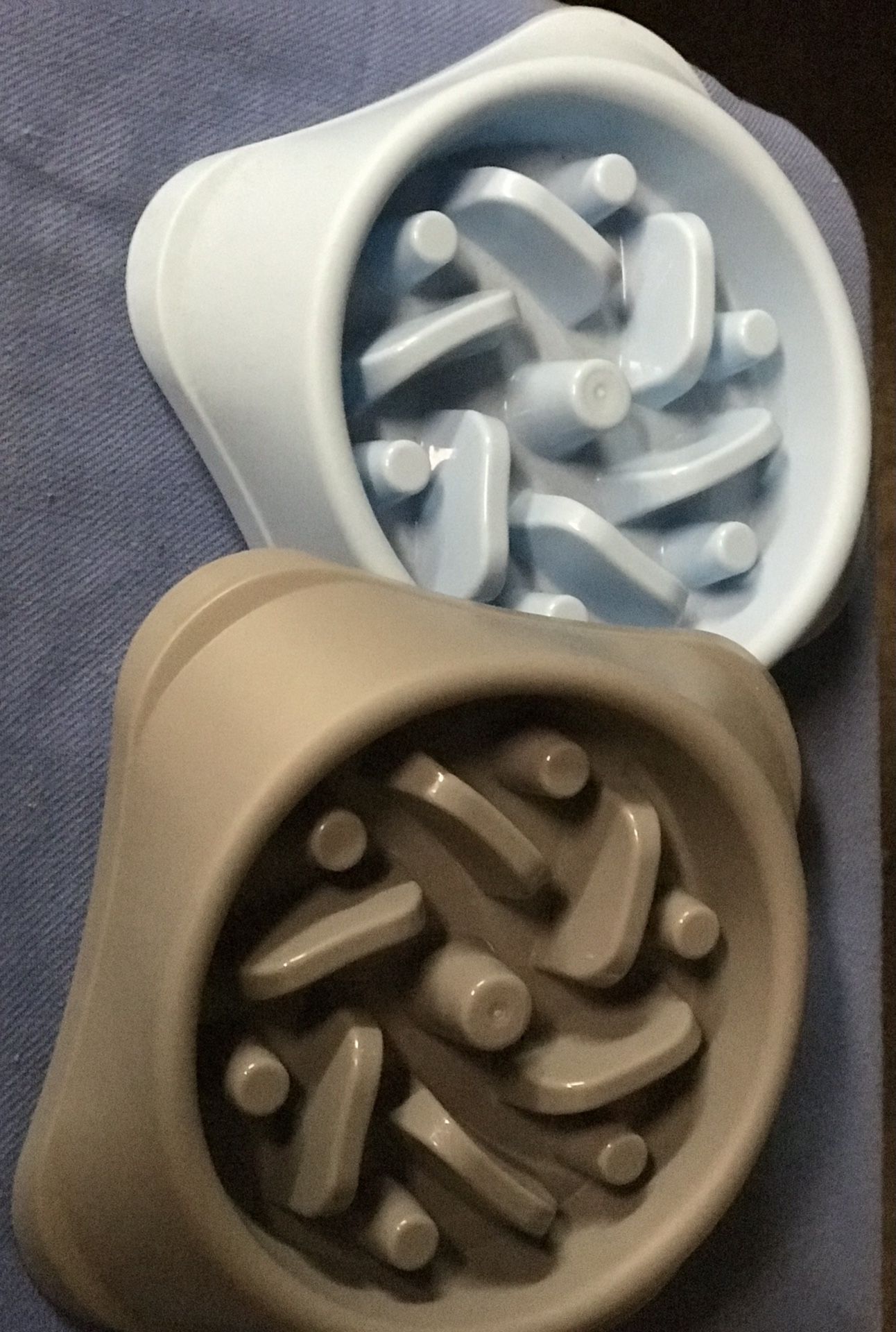 FOOD PLATES FOR MEMORY HEALTH