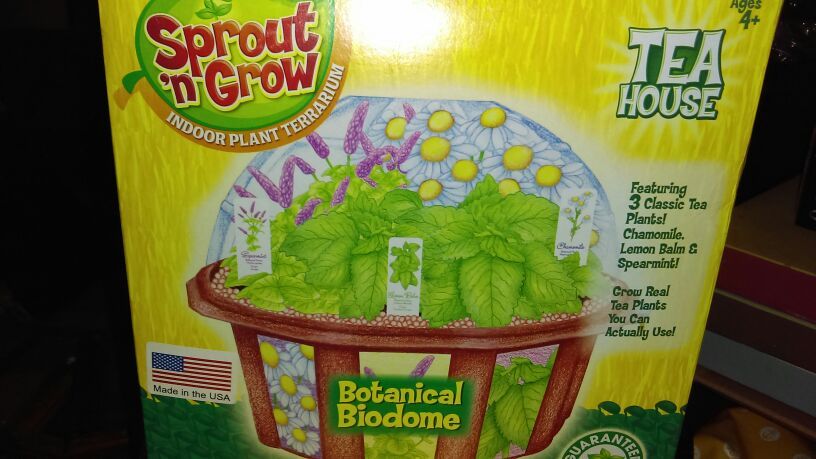 Sprout and grow