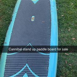 Paddleboard