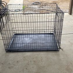 Dog Cage For 40 