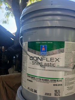 Exterior flat paint