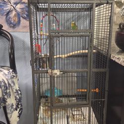 Two Parakeets & Cage