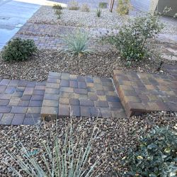 Step , Pavers , Turf , Planting 