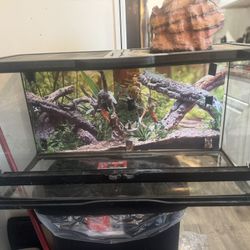Zoo Med Double Door Naturalistic Terrarium, 36" L X 18" W X 18" H