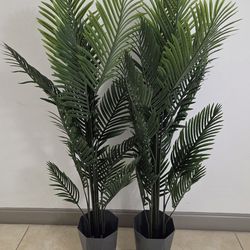 *** REDUCED *** PAIR of 62" Faux Areca Palms in 11" (Diameter) Gray ResinvPlanters @ Lasting Creations