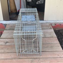 Animal Tramp
