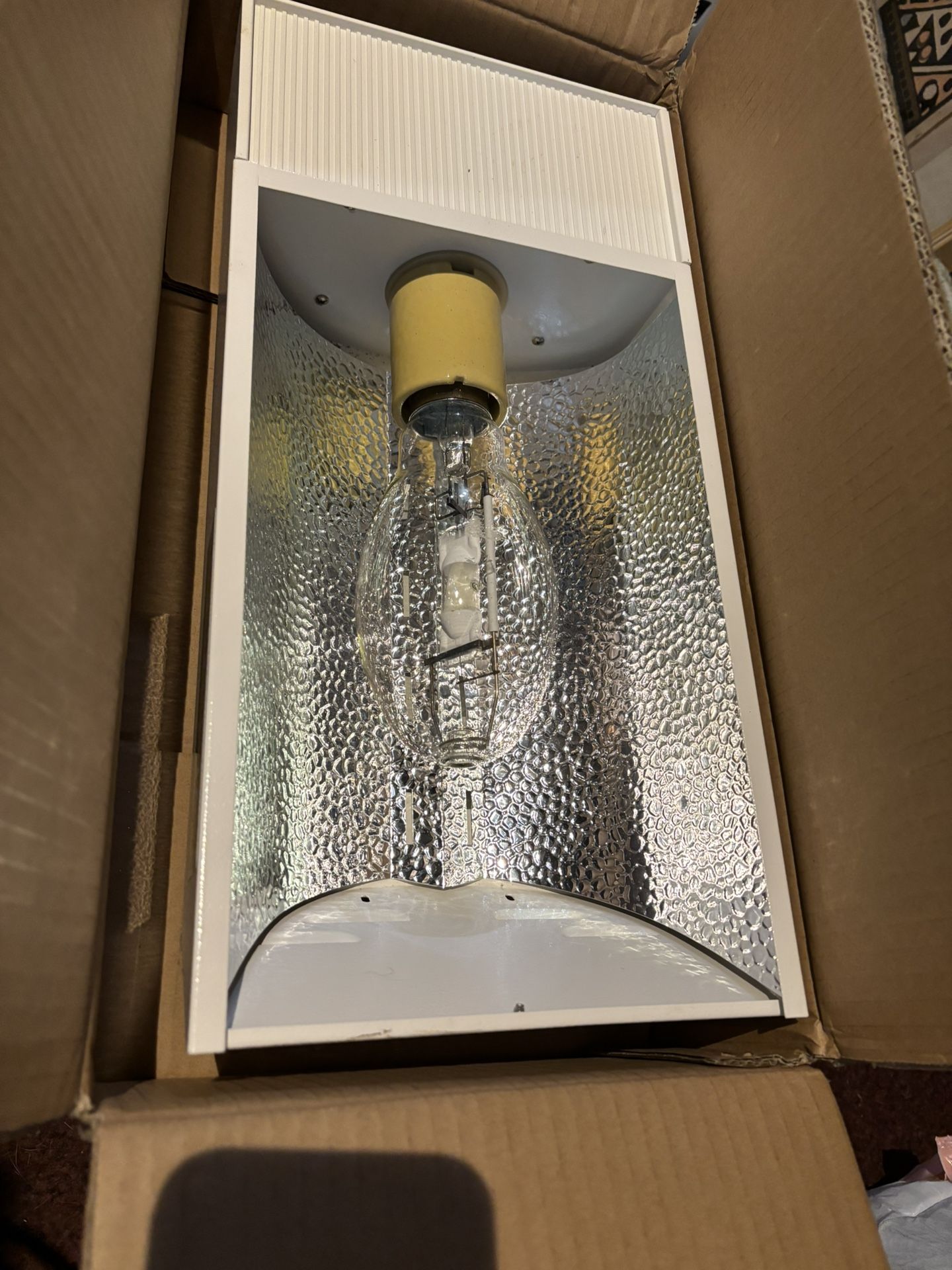 Sunburst grow Light