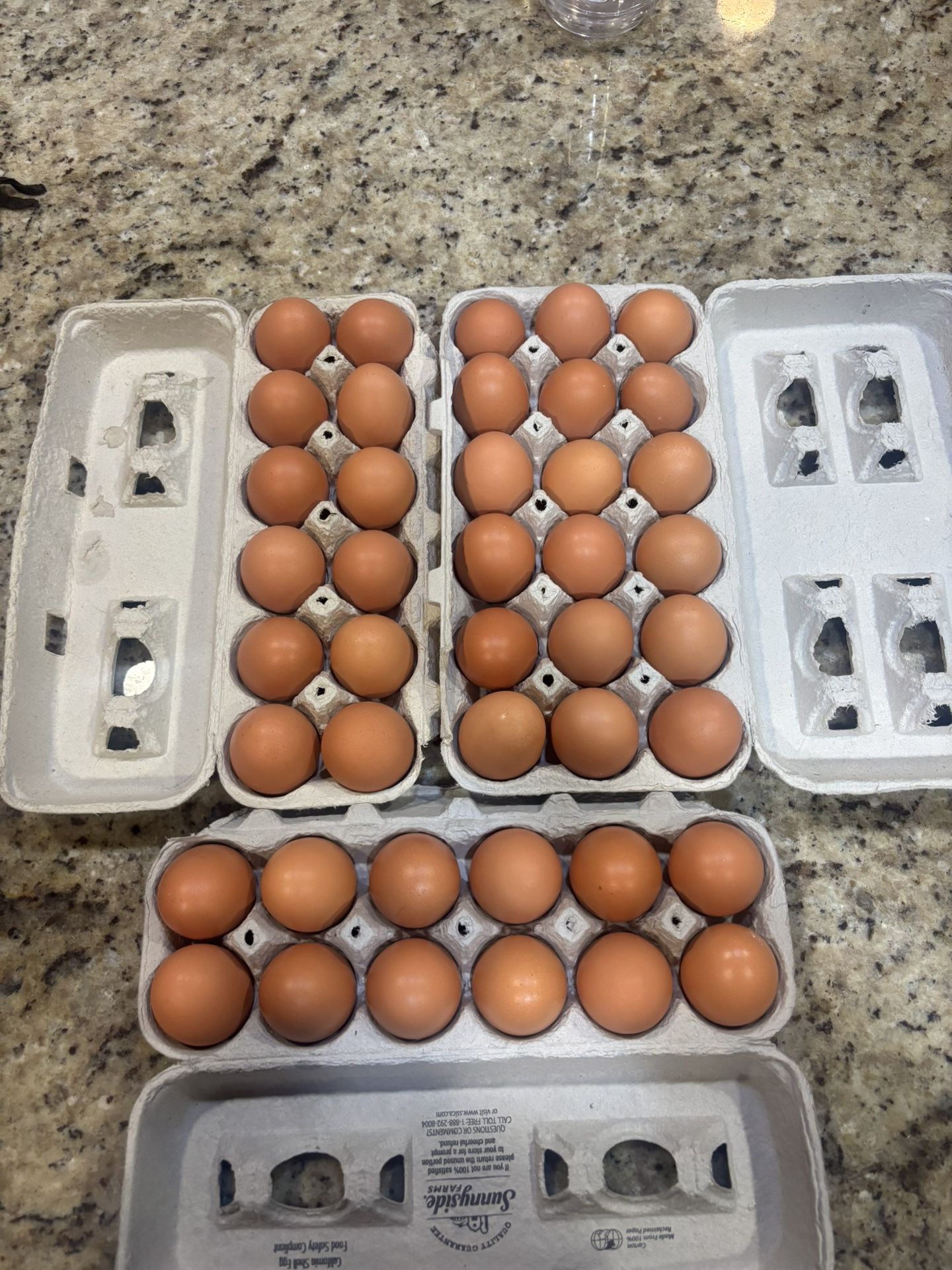 Organic Brown Eggs