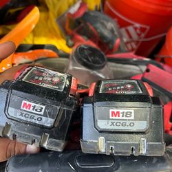 2 milwaukee 6.0 battery’s with a blower