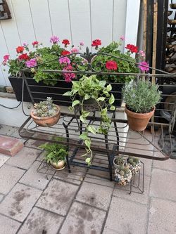 Vintage rustic rack for plants