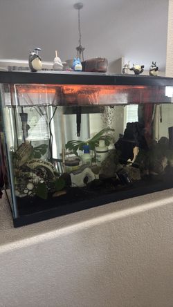 Fish tank with complete supplies