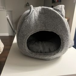 Grey Cat Cave 