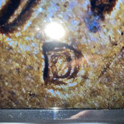 1970 D Penny double die