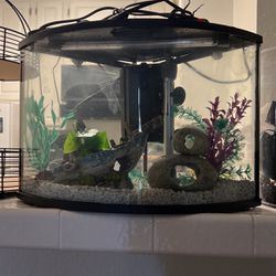6 Gallon Fish Tank With Decorations Included 