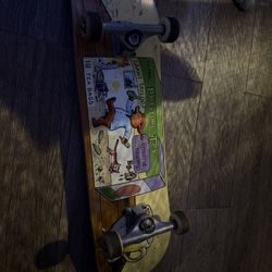 Skate Board 