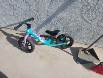 Bicycle Balance Trainer
