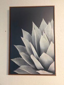 Set of 3 Succulent Canvas Wall Art