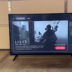 Vizio  50 Inch TV