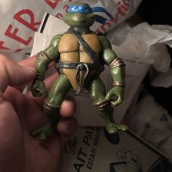 Teenage Mutant Ninja Turtle 