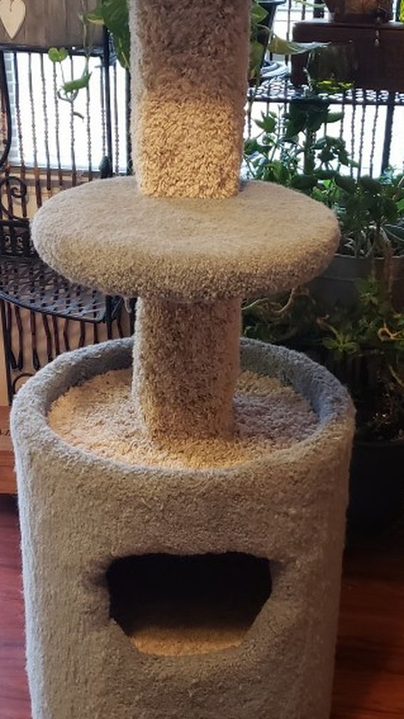 Cat Tower