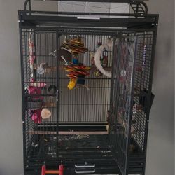 Bird Cage - Great Condition