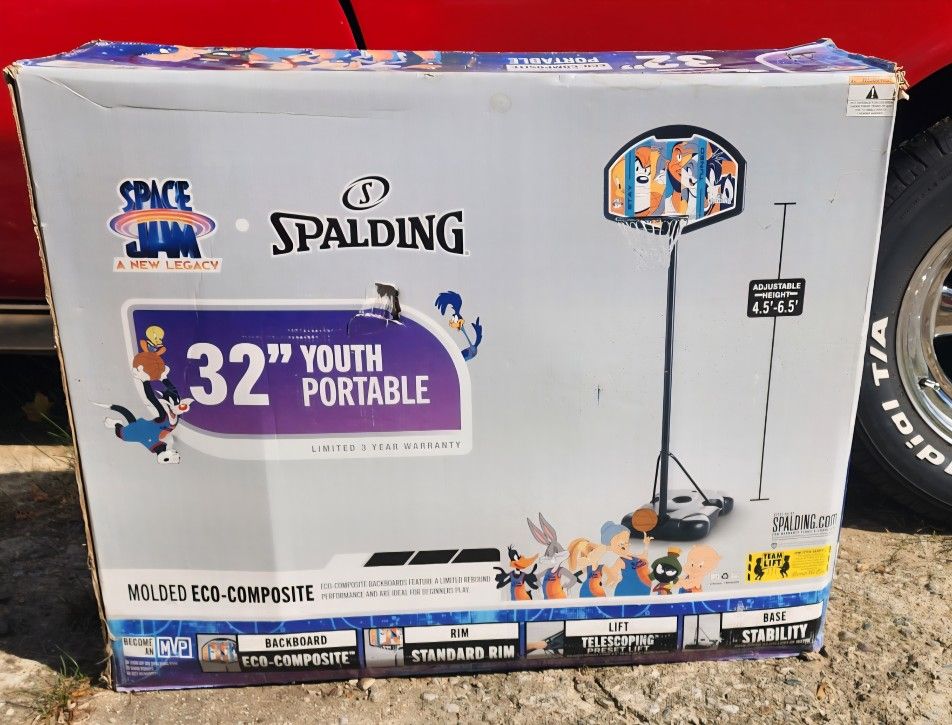 SpaceJam Basketball Hoop
