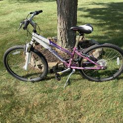 24” Schwinn Mountain Bike 