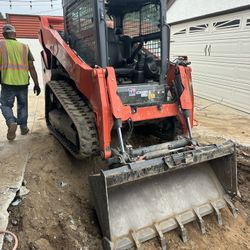 Bobcat Bobcat