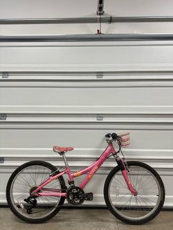 Trek MT 220 Girls’ Mountain Bike  24” wheels Lightweight Kids Youth Child Bicycle