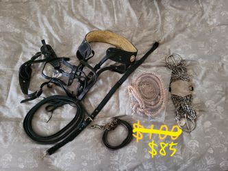 Horse Supplies
