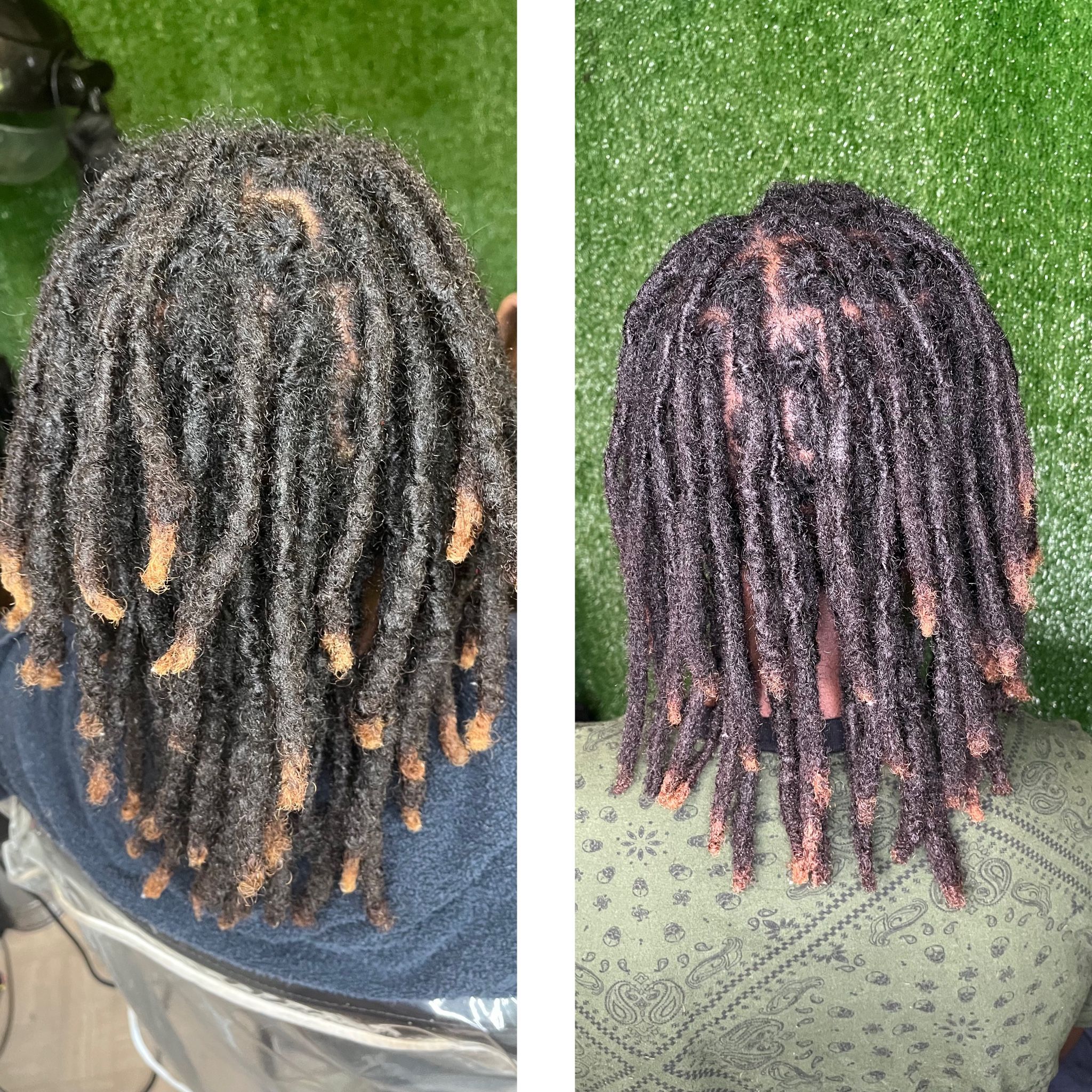 Locs Maintenance