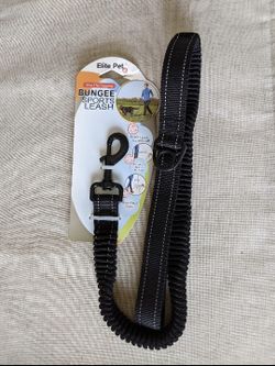 New Dog , Puppy black leash